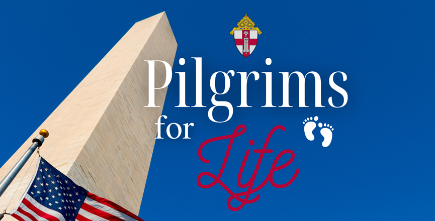Pilgrims for Life