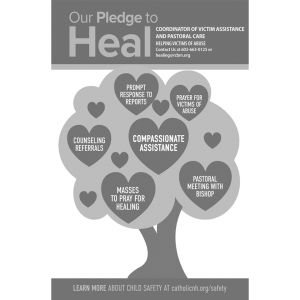 Pledge to Heal BW